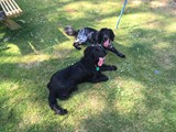 Hatie and Ella